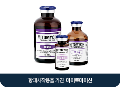 항대사작용을 가진 마이토마이신
